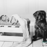 Baby mit Hundefreund